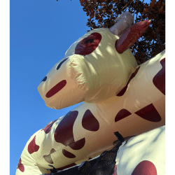 3 1765730483 Rodeo Rush 20' Dual Lane