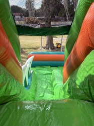 1000006843 1771520819 XL Dino Combo