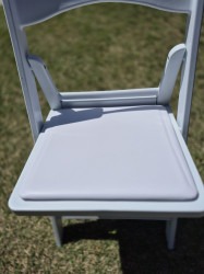 Padded Resin Chairs 20260311 141654 1773254087 Padded Resin Chairs