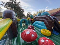 Toddler3 1774010079 Enchanted Forrest Toddler Park